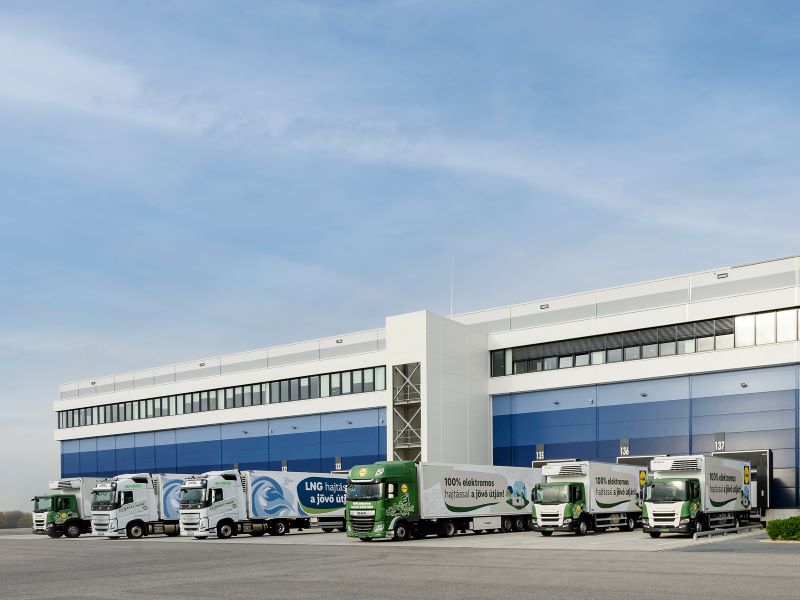 Lidl_flotta